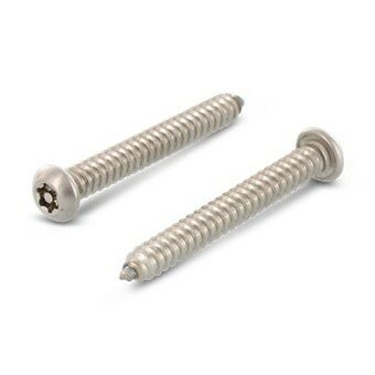 RVS Securityschroeven Bolkop Torx PIN