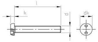 RVS Security machineschroeven Cilinderkop Snake Eye